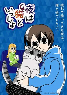 【日韩动漫】关于养猫我一直是新手